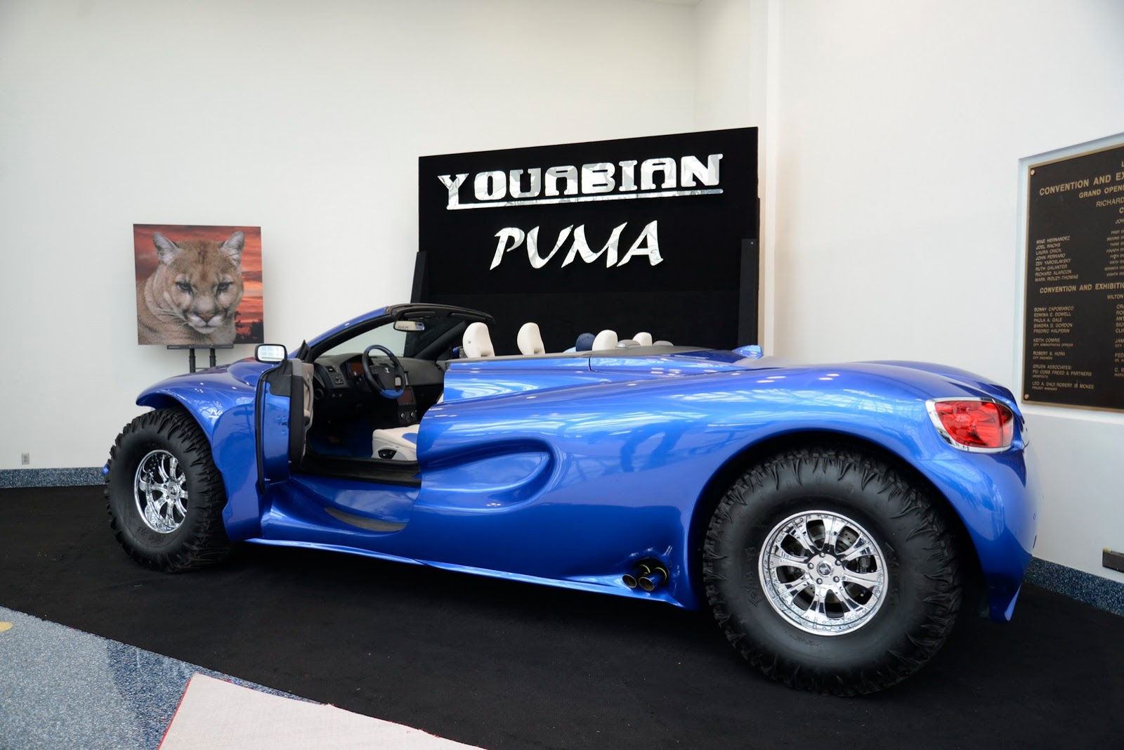 Youabian-Puma-1%25255B2%25255D.jpg