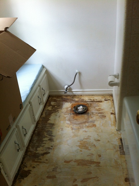 [IMG_8531---Copy5.jpg]
