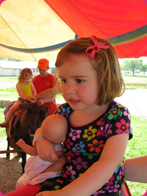 IMG_2040 IMG_2040