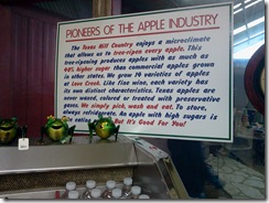 apple store 3