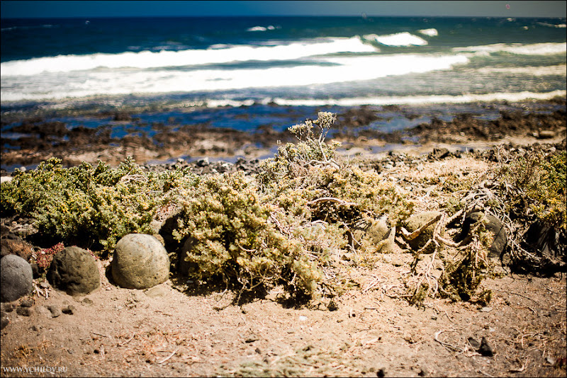 041 www.ychilov.ru foto tenerife.jpg