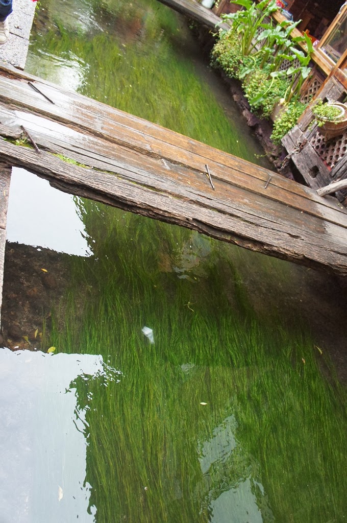 [DSC06857%255B6%255D.jpg]