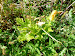 P1090816.JPG