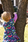 IMG_8847.JPG