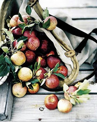 apples_iiausy