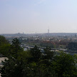 P1130364.JPG