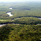 Rivière dans le parc national de la Salonga, Forêt équatoriale, 2005.