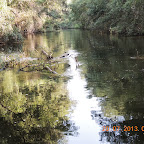 DSCN4565.JPG