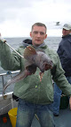 Image234.jpg