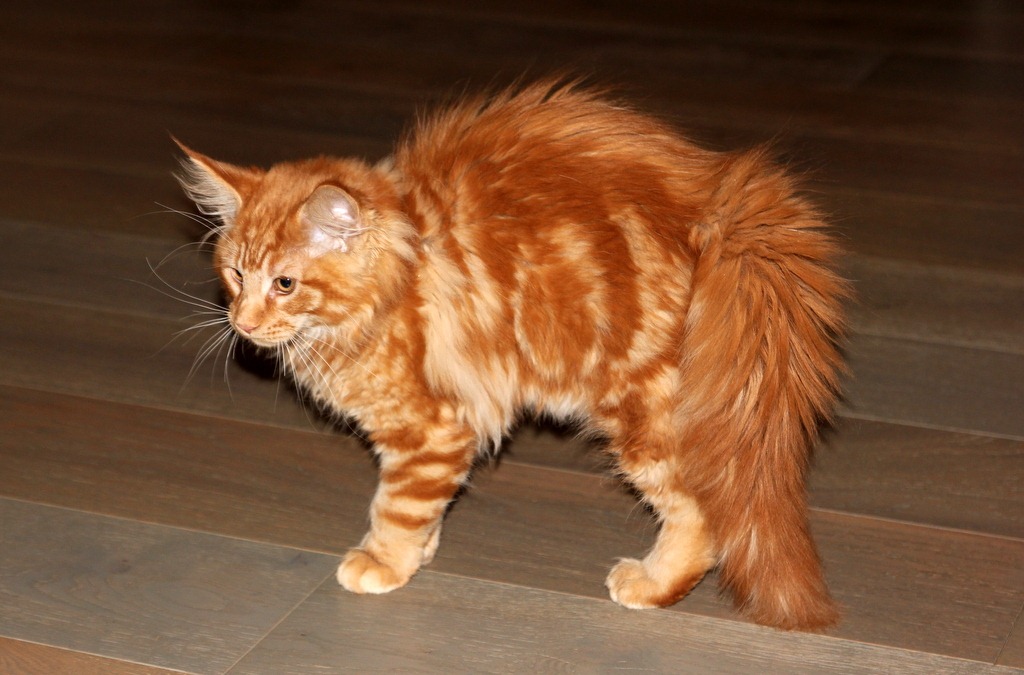 [IMG_0436%255B3%255D.jpg]