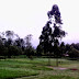 KALITUS OUTBOUND VILLA ISTANA BUNGA