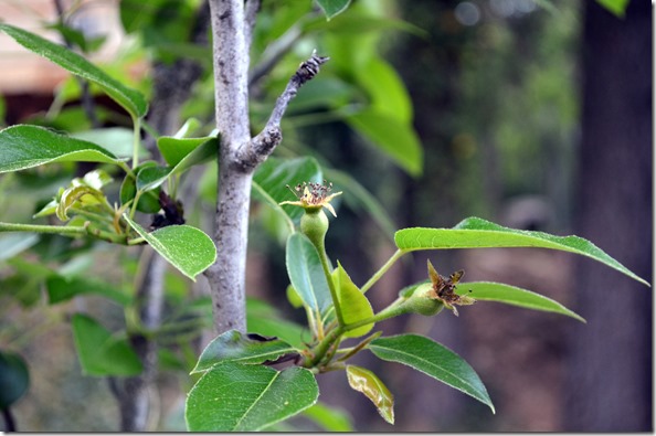 DSC_0018 DSC_0018
