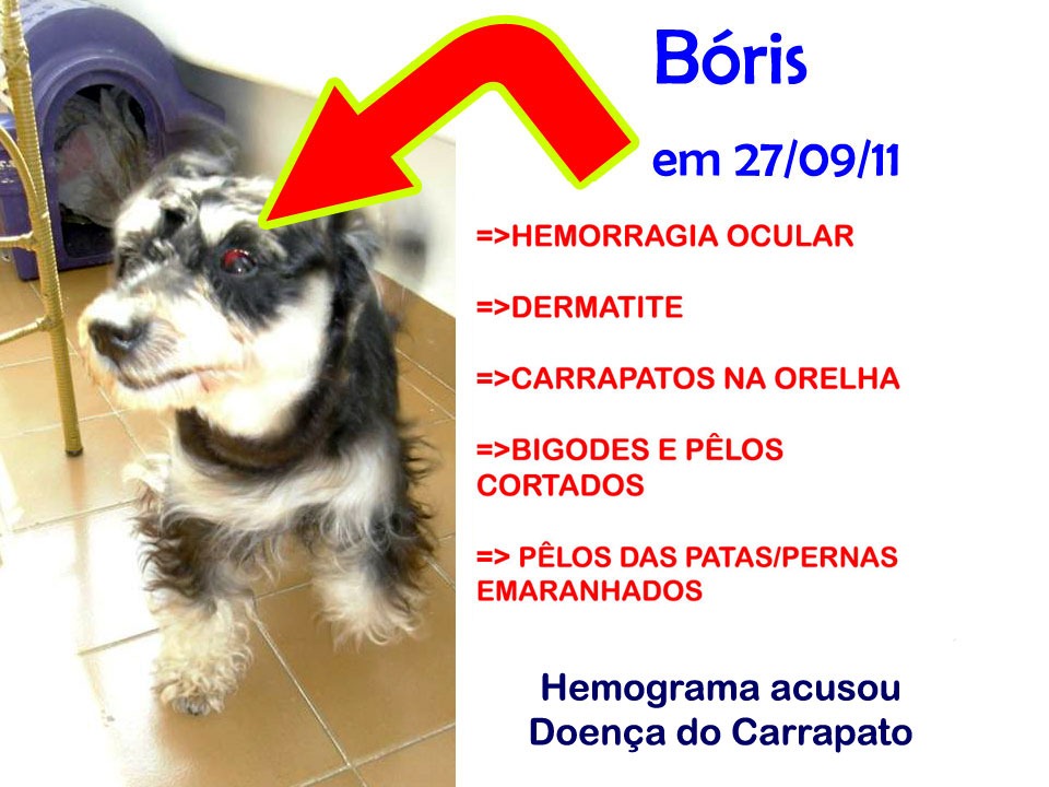 [Slide9%255B3%255D.jpg]