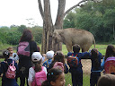 Turmas do 1º ano do E.F. no Jardim Zoológico