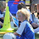 VMW voorjaar 2010