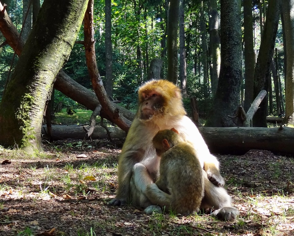 [DSC09717%2520%25281300x1042%2529%255B6%255D.jpg]