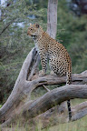 Africa Journey Slideshow