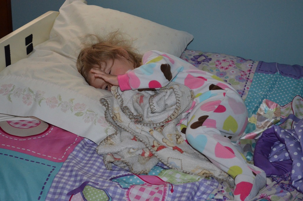 [DSC_0530%255B3%255D.jpg]