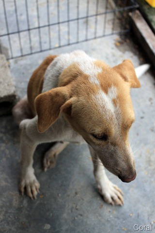 [IMG_0663%255B5%255D.jpg]