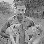 Mit Pfeife und Löwen © Foto: Archiv Norman Carr Safaris
