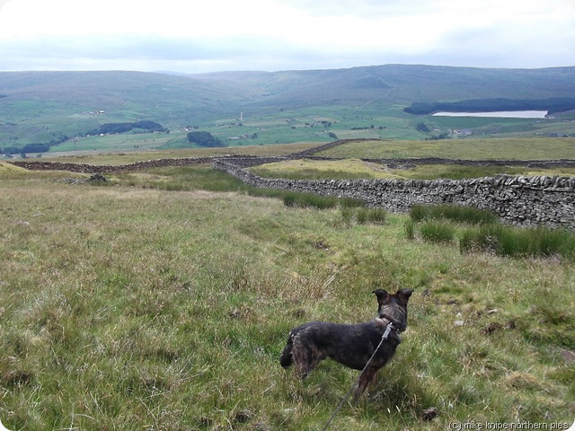 middlehope moor