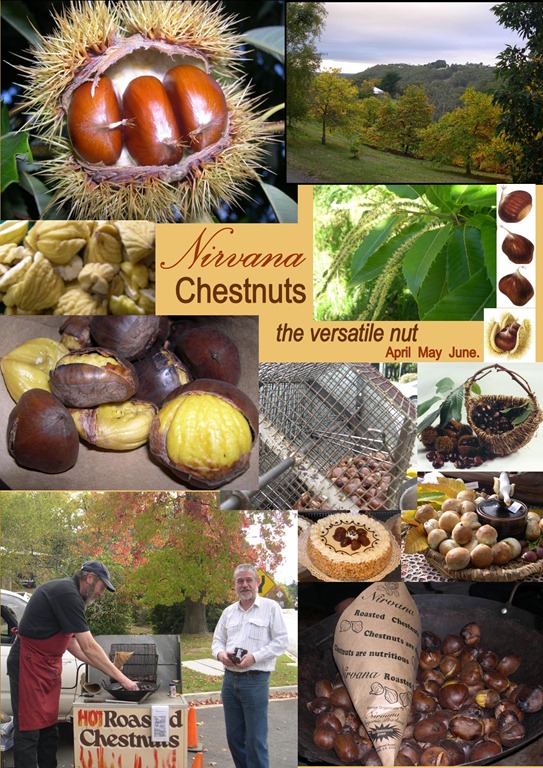 [chestnuts%255B4%255D.jpg]