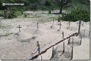 Cemitério de tartarugas Cemitério de tartarugas