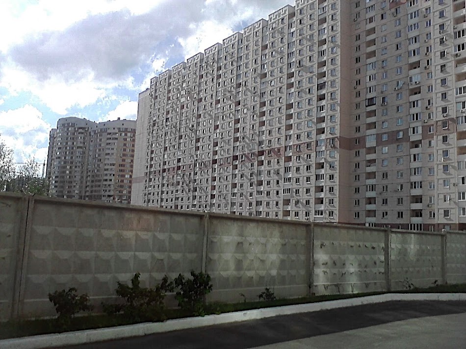 P200811_16.00.jpg