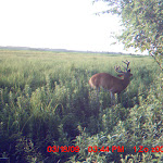 MDGC0157.JPG