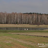 dsc07423.jpg