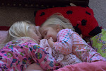 IMGP4431.jpg IMGP4431.jpg