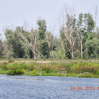DSCN8239.JPG