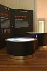 GNM Surface in action