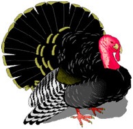[thanksgiving_turkey_classic%255B3%255D.jpg]