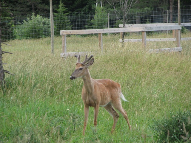 [IMG_5448%255B4%255D.jpg]