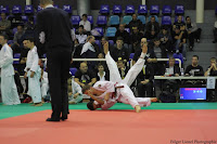 IMG_2631.jpg