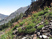 IMG_8717.JPG