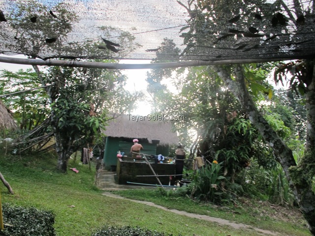 [IMG_2164%255B6%255D.jpg]