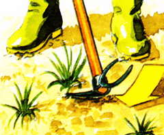 [image9%255B10%255D.png]