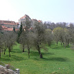 P1120922.JPG
