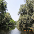 DSCN8368.JPG