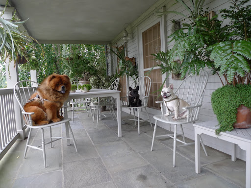 Thank you so much for meeting me on the porch, Francesca and G.K.  We have some important business to take care of today.