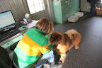Yes, I know Susie.  You think I'm a very capable Chow Chow and a very good boy!  Now, where's my treat?