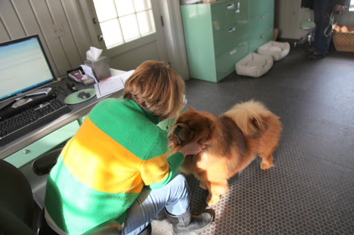 Yes, I know Susie.  You think I'm a very capable Chow Chow and a very good boy!  Now, where's my treat?