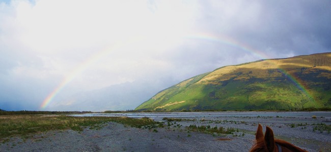 south island roadtrip 099a
