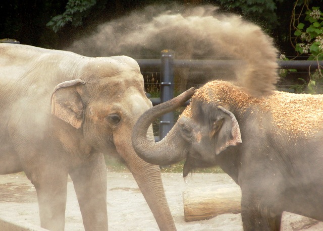 [DSC_6524%255B4%255D.jpg]