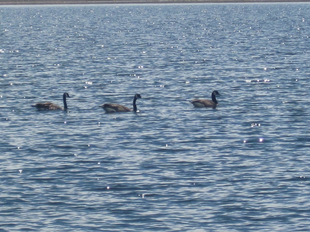 [IMG_1241%255B4%255D.jpg]