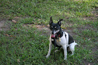 Zoe