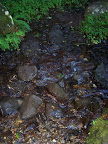 columbia_river_gorge