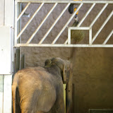 01.05.2011 Ausflug Neunkircher Zoo p1
